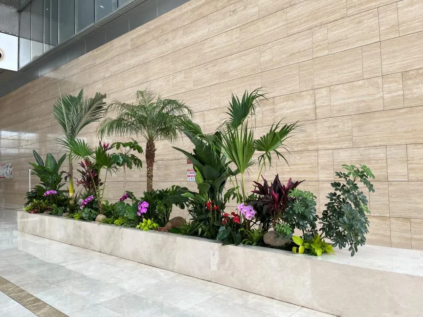 选择前湾花木租赁公司，畅享花卉装点的美好生活！