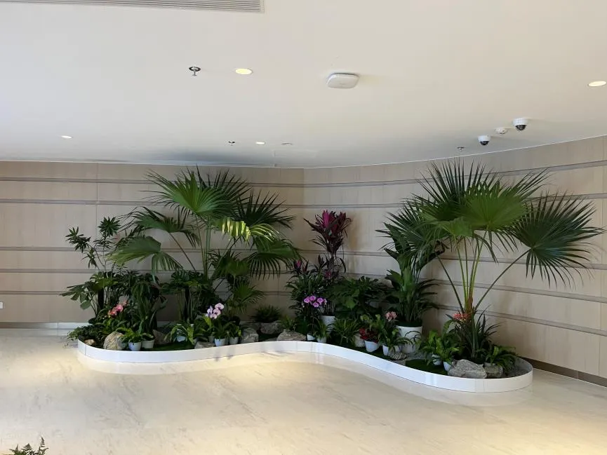 前湾盆景租赁公司,为您打造独特景观盛宴